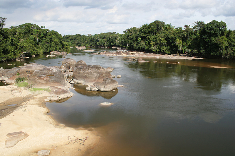 Blackwater of the Jaguaperi River
